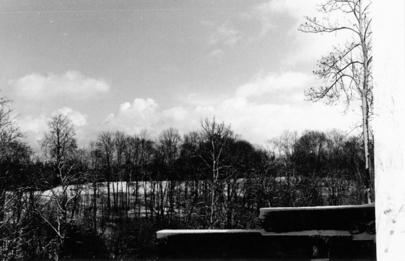 Jelgavkalns, 1995.gads