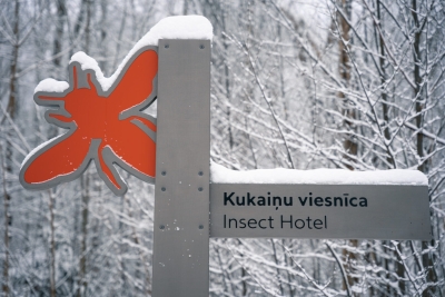 Turaida Museum Reserve in winter