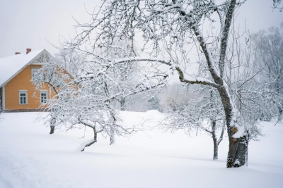 Turaida Museum Reserve in winter