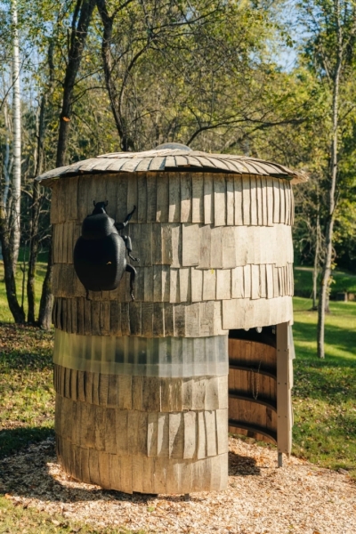 Activities for children in park