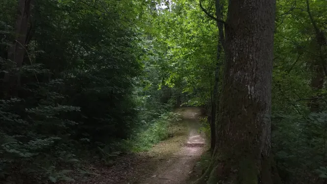 Lībiešu taka Turaidā - Foto 1
