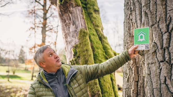 Vīrietis pie koka ar zīmi-  “Bioloģiski vērtīgs koks”