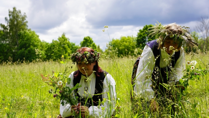 Brīvprātīgie Turaidā atjaunos pļaujas tradīcijas
