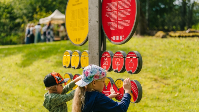 Bērni pēta interaktīvu izziņas stendu Turaidas meža parkā, iepazīstot dabas daudzveidību caur spēles elementiem.