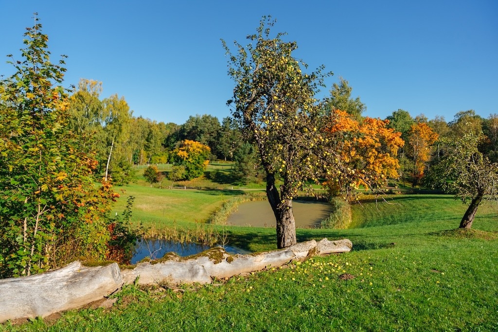 Zelta rudens Turaidā