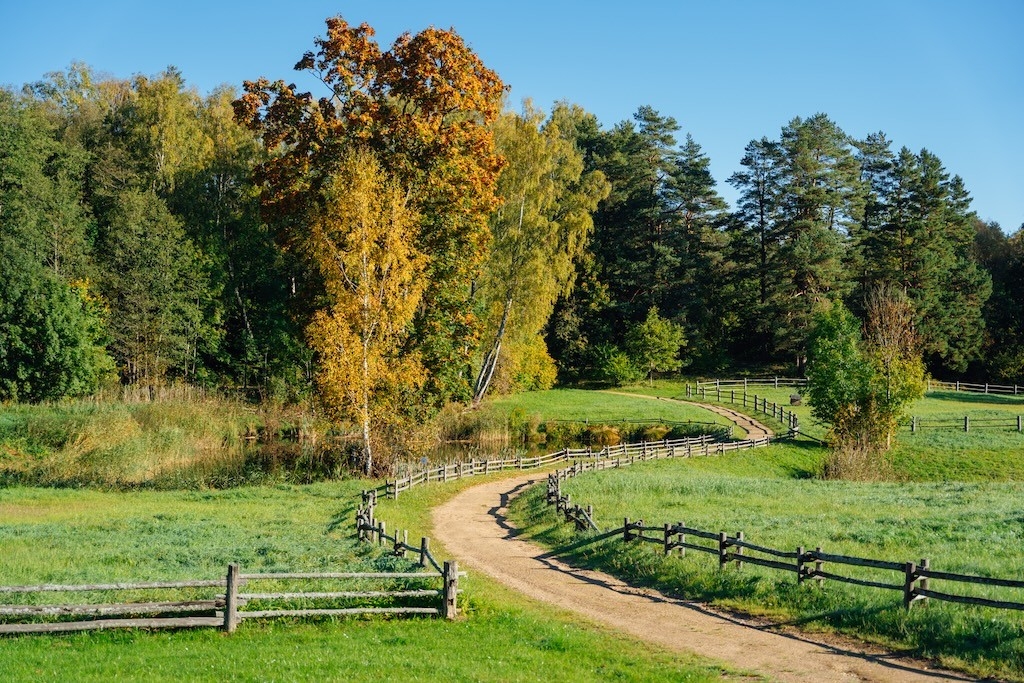 Zelta rudens Turaidā