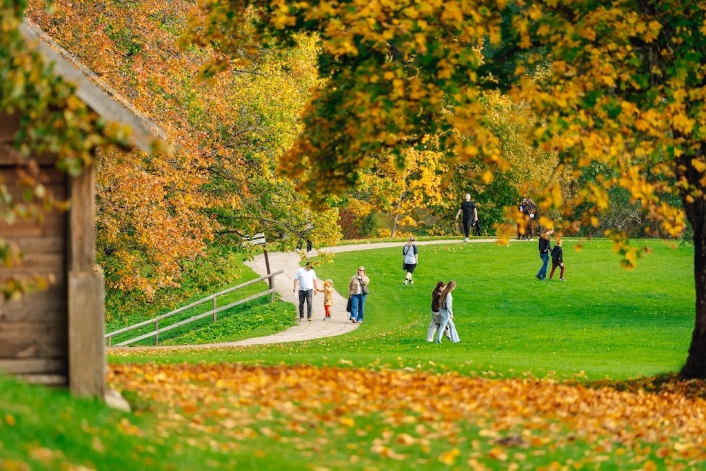 Zelta rudens Turaidā