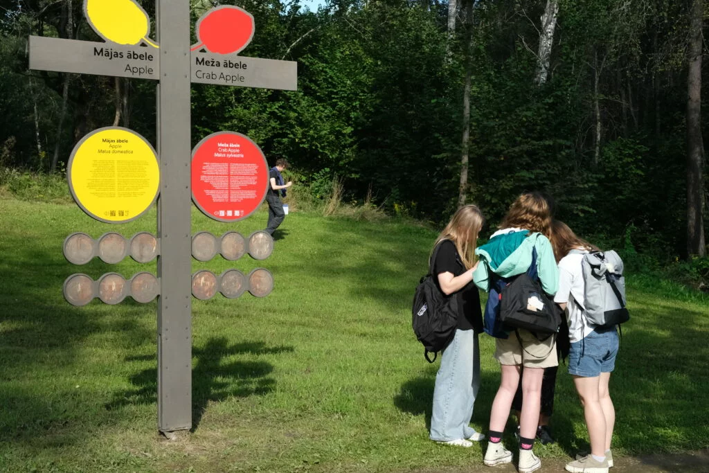 Lapkoku daudzveidības salīdzināšana Turaidas muzejrezervāta meža parkā un Lībiešu takā (7.–9. kl.) Skolnieku grupa muzejrezervāta kopīgi risina uzdoto uzdevumu