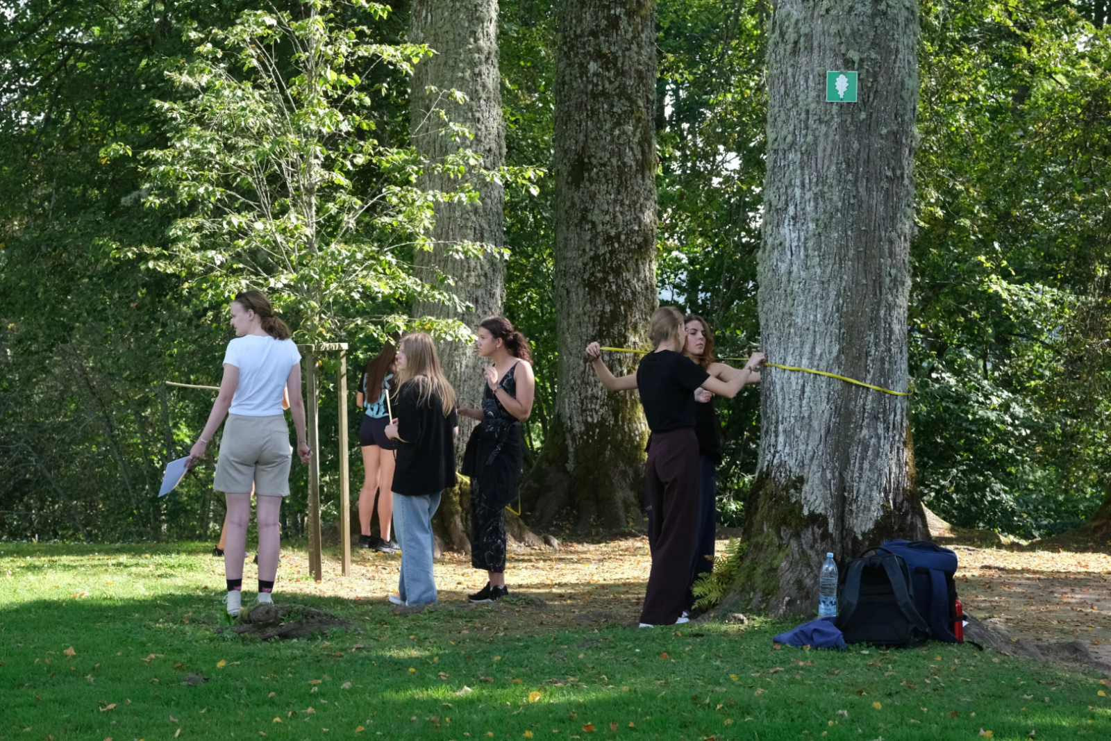Koksnes krājas salīdzināšana kokiem Turaidas muzejrezervāta meža parkā (10.–12. kl.). Jaunieši mēra koka apkārtmēru.