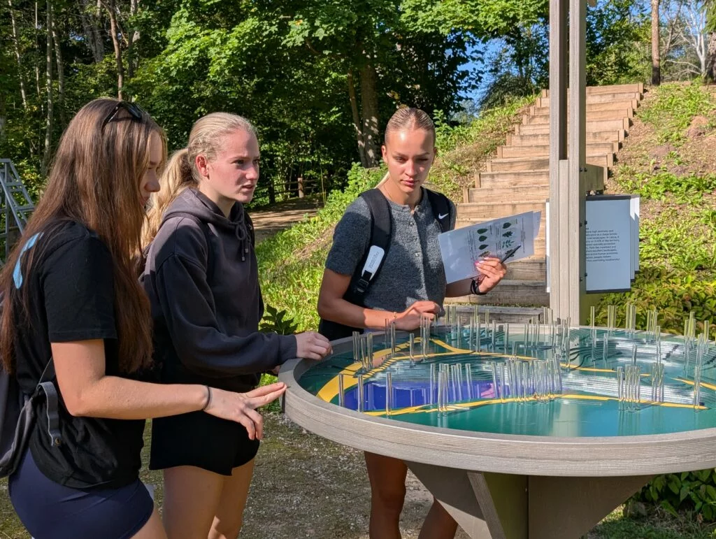 Koksnes krājas salīdzināšana kokiem Turaidas muzejrezervāta meža parkā (10.–12. kl.). Trīs jaunietes apskata Turaidas muzejrezervāta meža parkā esošo instalāciju.