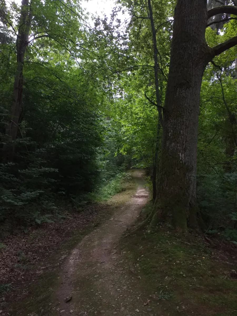 Lībiešu taka Turaidā - Foto 1