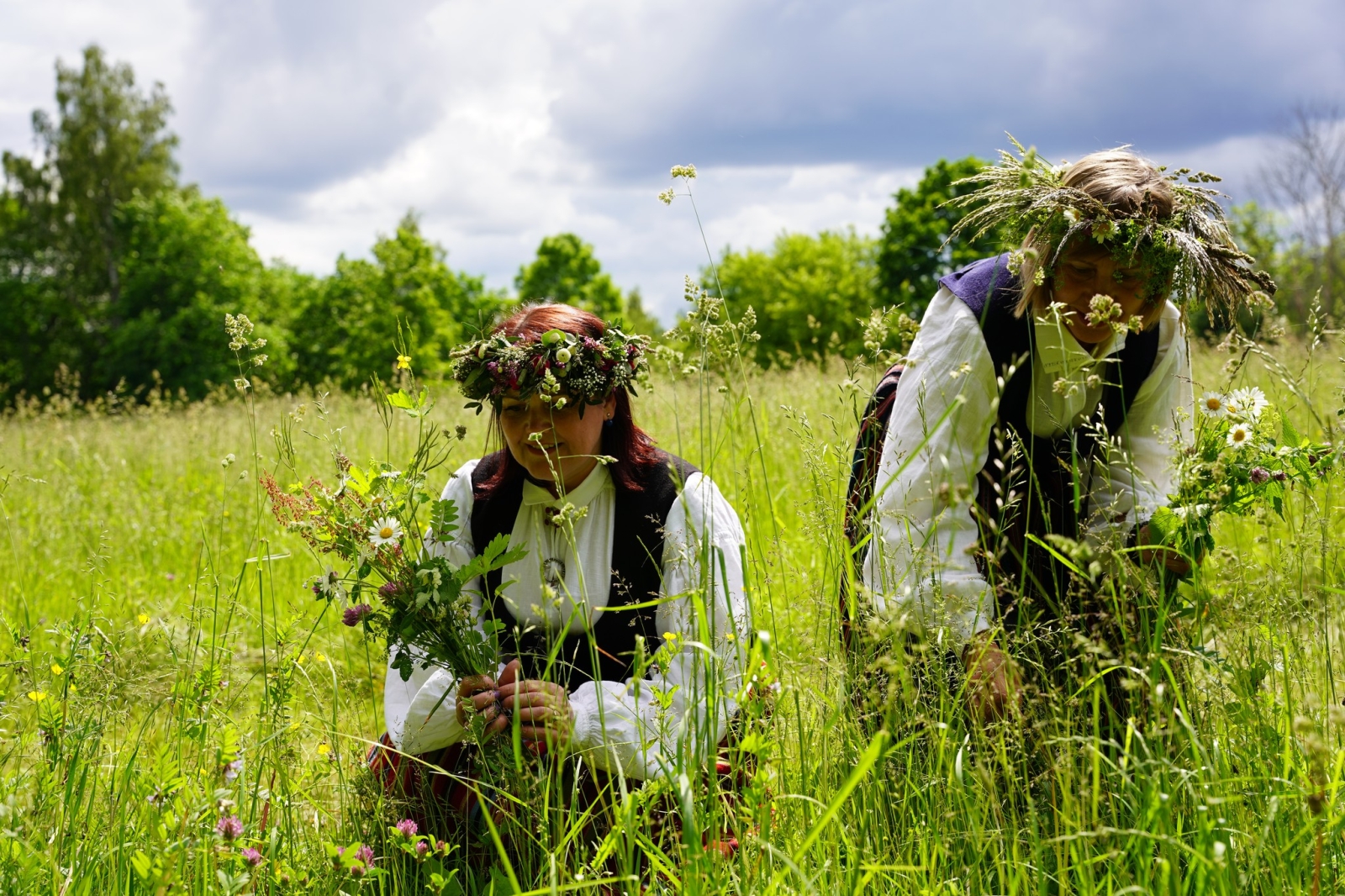 Brīvprātīgie Turaidā atjaunos pļaujas tradīcijas - Foto 2