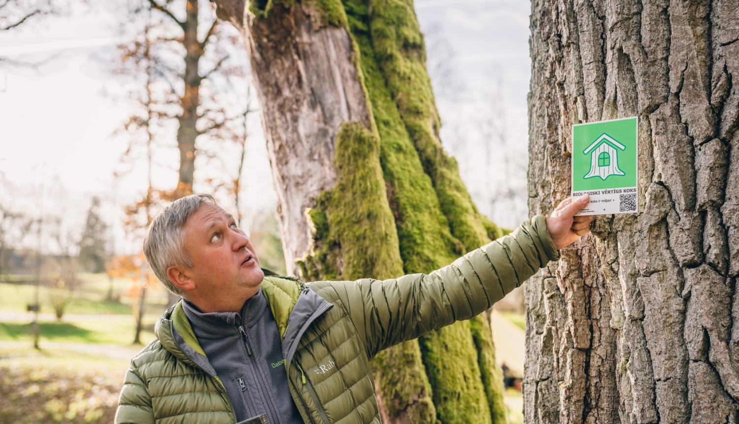 Vīrietis pie koka ar zīmi-  “Bioloģiski vērtīgs koks”