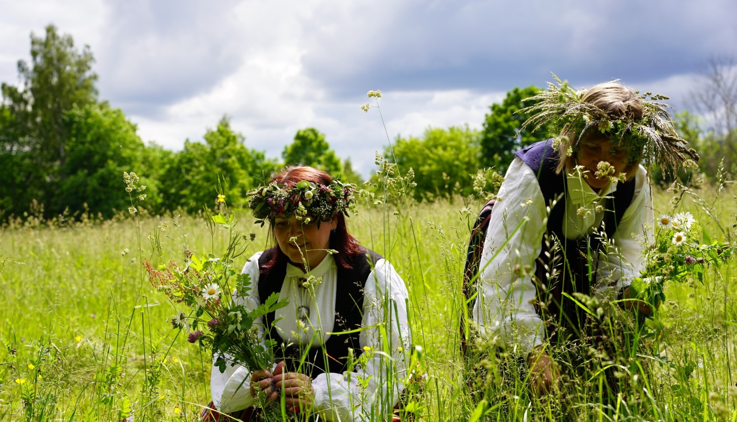 Brīvprātīgie Turaidā atjaunos pļaujas tradīcijas