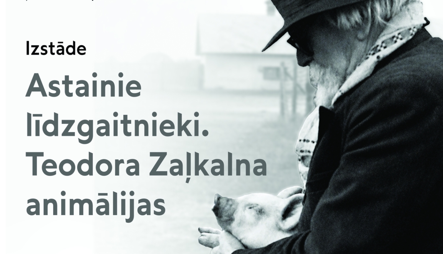 Zaļkalns ar cūku padusē. Izstādes reklāma