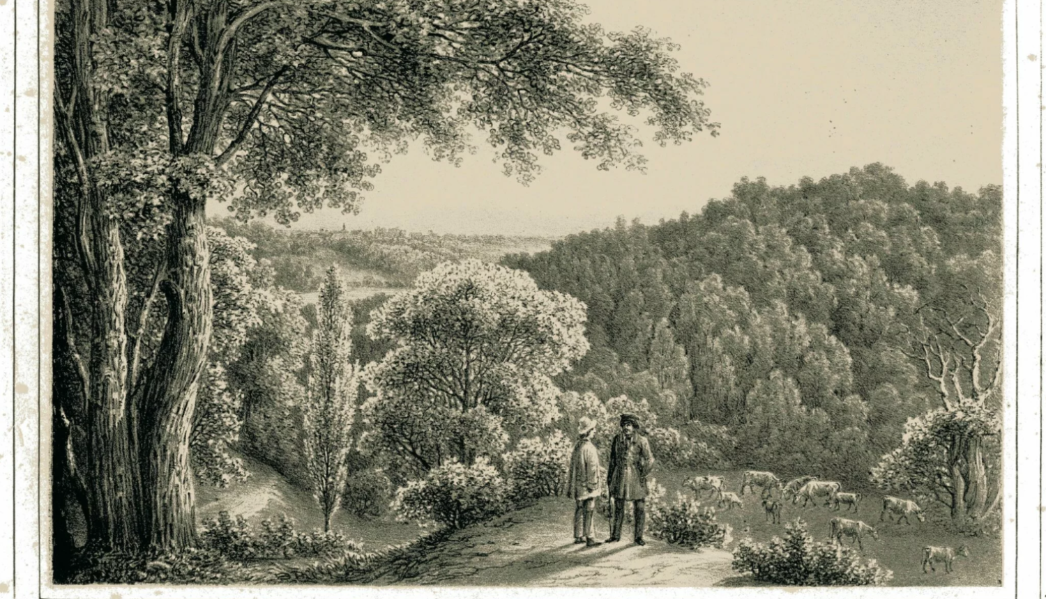 Skats no Turaidas liepu dārza. Zīmējis A. M. Hāgens. Litografējis G. F. Šlāters 1844. gadā.
