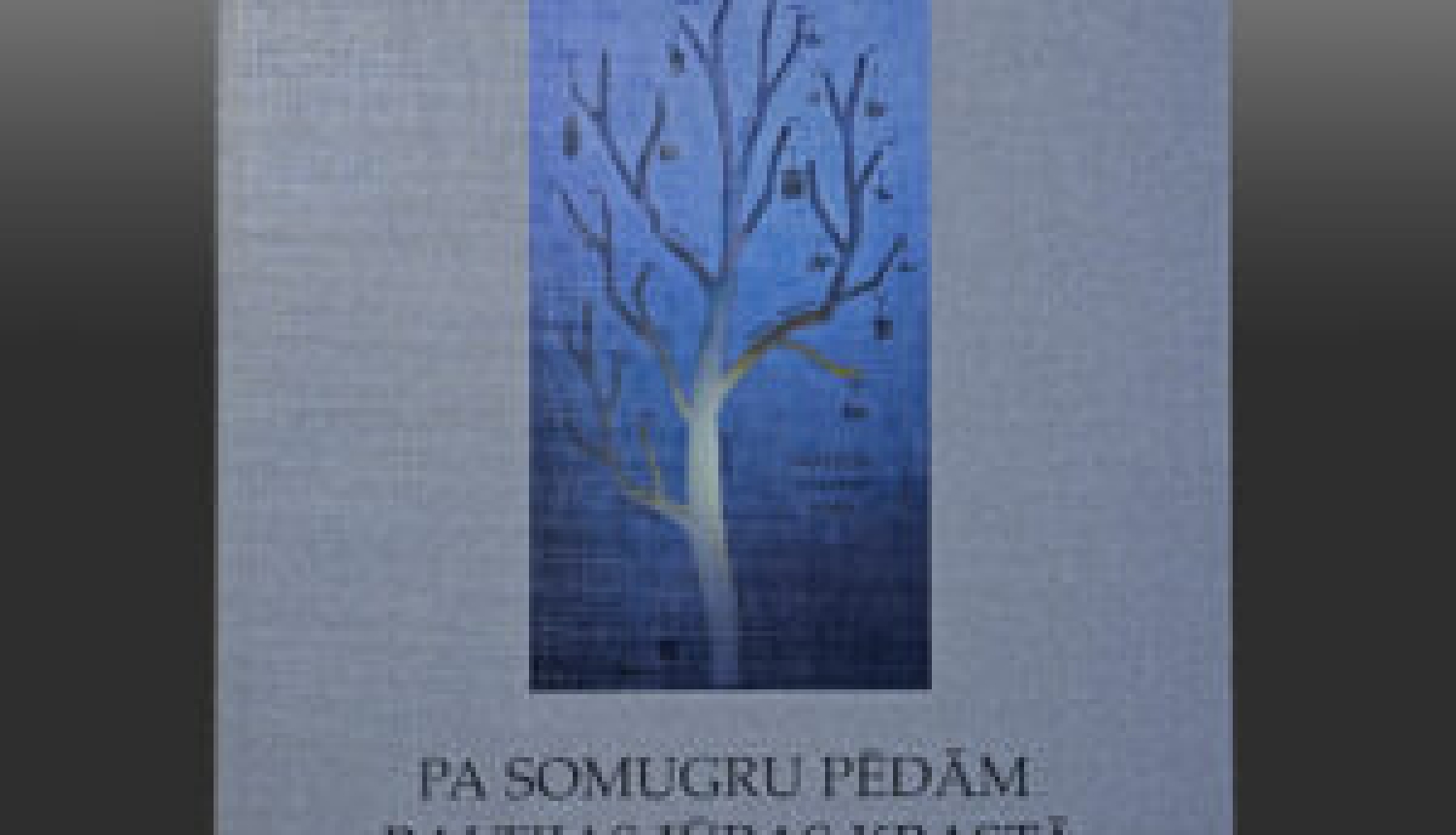 Pa somuguru pēdām Baltijas jūras krastā: