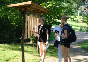 Koksnes krājas salīdzināšana kokiem Turaidas muzejrezervāta meža parkā 7.–9. klašu skolēniem. Trīs meitenes pēta koka zarus.