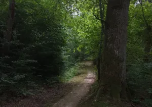 Lībiešu taka Turaidā - Foto 1