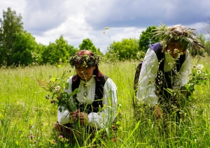 Brīvprātīgie Turaidā atjaunos pļaujas tradīcijas - Foto 2