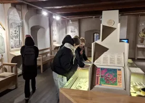 Skolotāju metodisko darbu izstrāde - Foto 5