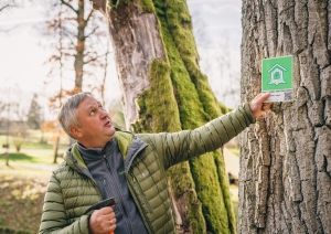 Zīme: Bioloģiski vērtīgs koks - Foto 4