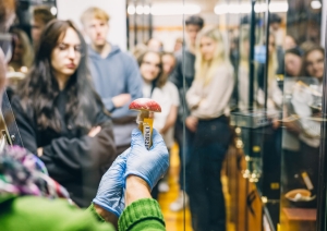 Muzeja krājumi Foto 2